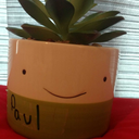 plasticplantnamedpaul avatar