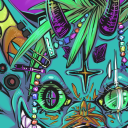 plasticrabbits avatar