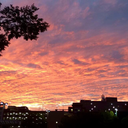 platan0smadur0s avatar