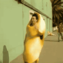 platanoatleta182 avatar