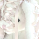 plathianswift avatar