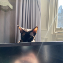 platinum-vertigo avatar