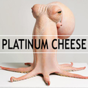 platinumcheese avatar