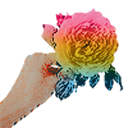 platkisloneczne avatar