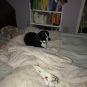 platonic-gal-pal avatar