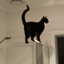 player-kammit avatar