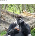 playfulllips123 avatar