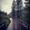 playingwithfire10247 avatar