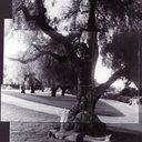 playmeyourwintersonata avatar