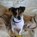 playwrightofthedivine avatar