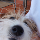 pleasantearthquakemoon avatar