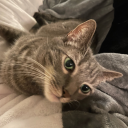 pleasedon-twakeme avatar