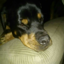 pleaseenterhere avatar