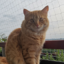 pleasejustgivemeaname avatar