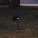 pleasekissgray avatar