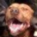 pleaserespectyoursurroundings avatar