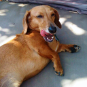 pleasureofnada avatar