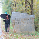 pliszkasaurus avatar