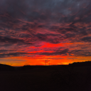 plsnevercomeback avatar