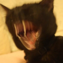 plsturnaround avatar