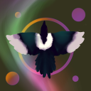 plumed-magpie avatar