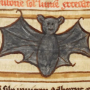 plumpuddergal avatar