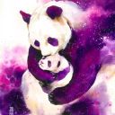 plush-panda avatar