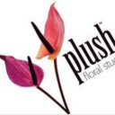 plushfloralstudio avatar