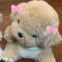 plushitoys avatar