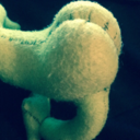 plushrumpvevo avatar