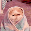 pluto-the-crybaby avatar