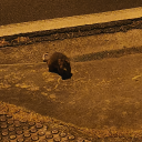 plutoniferous avatar