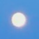 pluutosplants avatar