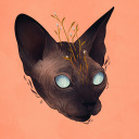 pluviophilesreign avatar