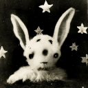 plzdeposit5coinss avatar