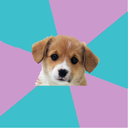 pmddpuppy avatar