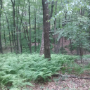 pmiller76-blog avatar