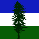 pnwforestvibes avatar