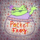 pocketfroggy avatar