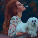 pocketful--ofdreams avatar