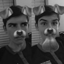 pocketful-of-pugs avatar