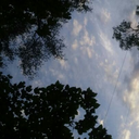 pockethive-blog avatar