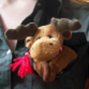 pocketmoose avatar