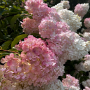 pocketsthings avatar