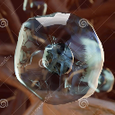 podcast-hemocytoblast avatar