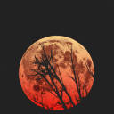 poderia-ser-melhor avatar