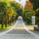 podgotovka-ebalo-k-pizde avatar