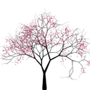 poems-and-word avatar