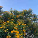 poemsandpoetics avatar