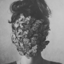 poesia-insipida avatar